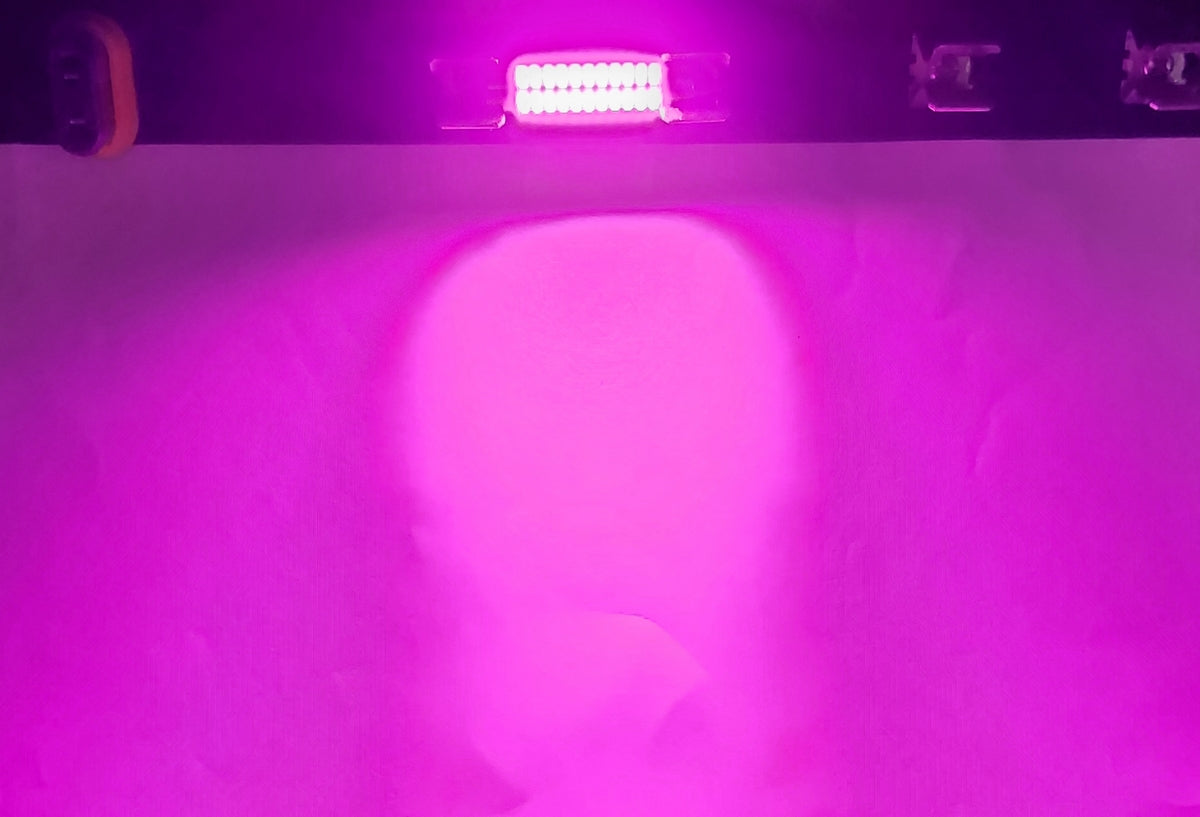 42mm 578 / 212-2 bulbs - 3014 Series - 33 LED